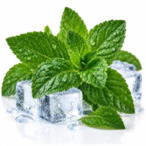 Capella Peppermint 800x800